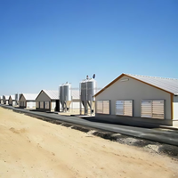Bâtiment en structure acier préfabriqué à montage facile et économique pour poulailler, ferme avicole et enclos à poules