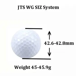 Großhandel Golfbälle Benutzer definiertes Logo Golfball Verpackung 2 3 4 Stück Golfbälle