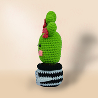 Lunatique Nouveau Style Crocheté Cactus À La Main Plante En Pot Succulente pour La Décoration Intérieure