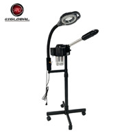 Appareil de beauté professionnel intelligent à vapeur chaude et froide, à pulvérisation unique, avec contrôle de température, en plastique, portable et rechargeable