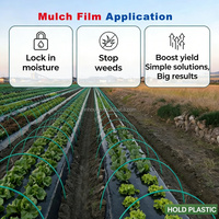Film de paillage plastique anti-UV noir, film de paillage agricole en PE noir argenté, couverture de sol en plastique pour l'agriculture du maïs, des fruits et des légumes