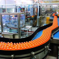 Ligne de production automatique complète de jus de fruits, embouteillage, remplissage, capsulage, machine de traitement de jus de boisson
