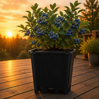 Pots de fleurs carrés en plastique de luxe, vintage et contemporains, pour pépinière, serre et jardin, 25,9 L, avec trou de drainage, vente en gros
