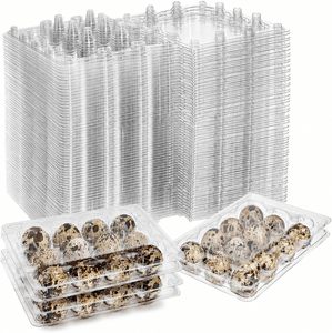 Boîte d'emballage pour œufs de caille en plastique PET transparent à 12 trous, prix d'usine, plateau en plastique pour œufs de caille - Product Image 1