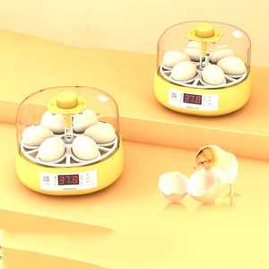 JIATAI doble potencia nuevo pequeño totalmente automático lindo pollo Mini 4/6/18 huevos incubadora para la educación de los niños - Product Image 5