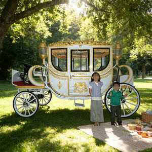 Charrette royale européenne de luxe rétro dorée personnalisée avec climatisation, charrette électrique de princesse - Product Image 3