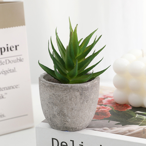 Duofu Home Mesa decoración <span class=keywords><strong>flores</strong></span> plantas suculentas artificiales al por mayor Mini adornos - Product Image 2