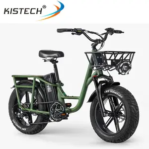 FIIDO Sepeda Elektrik T1 Pro, Sepeda Kargo dengan 20 Inci Ban Gemuk 750W Motor 48V 20AH Baterai Maks 45Km/Jam Kecepatan Rem Hidrolik Ebike