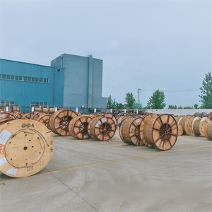 Câble OPGW (Câble de Terre <span class=keywords><strong>Optique</strong></span>) Surfiber avec Tube Central en Acier Inoxydable, Brins ACS, 1 Noyau, Spécifications Personnalisées - Product Image 6