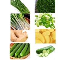 Restaurant Elektrische Groentesnijder Commerciële Automatische Elektrische Groene Ui Fruit En Groente Hakselsnijmachine Snijmachine