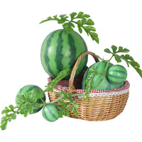 Kunstmatig watermeloenmodel Nep fruitplakjes Bellenbladeren Ranken Decoratieve accessoires Vroege onderwijsstudio's Thuis