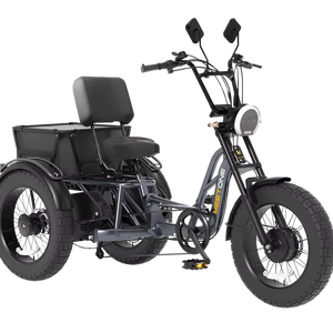 Bicicletta Elettrica a Tre Ruote con Pneumatici Larghi, Due Motori da 750W e Due Batterie da 48V 15Ah, Telaio in Lega di Alluminio per Lunghi Viaggi - Product Image 1
