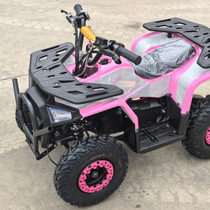 <span class=keywords><strong>Quad</strong></span> électrique de course 48V 1000W à transmission par arbre, pneus tubeless de 6 pouces, vente chaude - Product Image 2