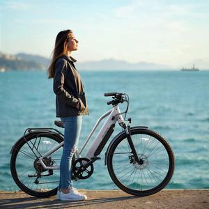 2026 OEM <span class=keywords><strong>prix</strong></span> usine C622 classique 26 pouces vélo électrique <span class=keywords><strong>de</strong></span> <span class=keywords><strong>ville</strong></span> électrique pour femmes 36V 7.6AH capteur <span class=keywords><strong>de</strong></span> batterie 7 vitesses - Product Image 5