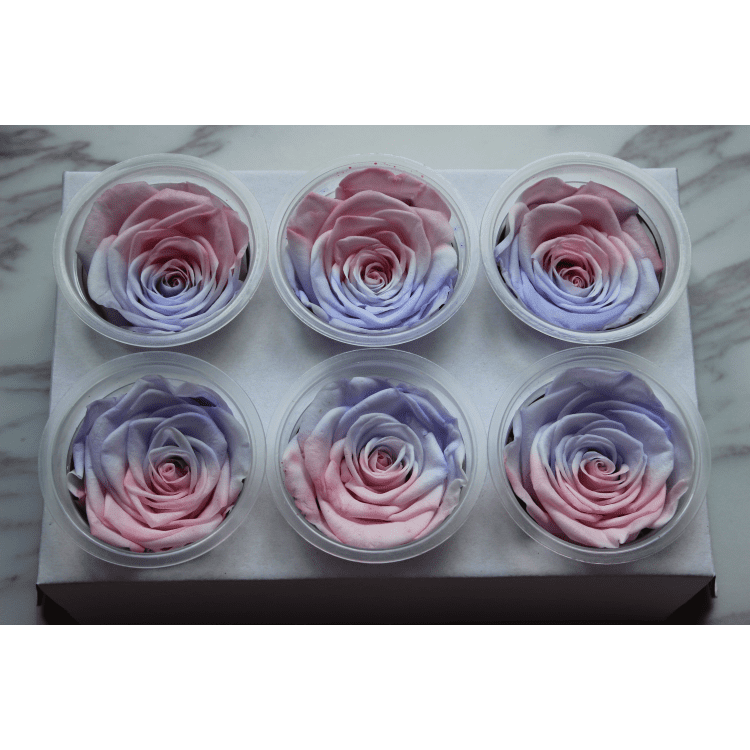 Gradiente viola rosa