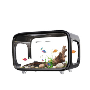 Acuario Transparente Personalizado <span class=keywords><strong>de</strong></span> Primera Calidad, Pecera Pequeña para Peces y Tortugas, Decoración para Sala <span class=keywords><strong>de</strong></span> Estar, Balcón y Hábitat para Mascotas Acuáticas - Product Image 1