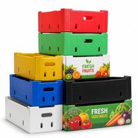 Caisses en plastique ondulé en PP creux, empilables, imprimées sur mesure et colorées, pour la logistique des entrepôts de fruits et légumes