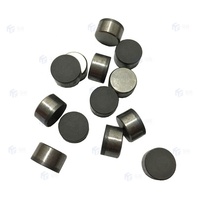Foret de forage de puits pétroliers certifié ISO, coupe-gazon PDC, insert PDC poli, OEM personnalisé 14.6x1.8 sur demande du client