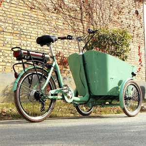 3 roues <span class=keywords><strong>cargo</strong></span> moteur enfants poussette porte-bébé tricycle pour maman et papa <span class=keywords><strong>cargo</strong></span> vélo - Product Image 3