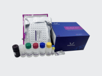 Kit ELISA pour LAMb1 (Laminine Bêta 1) humaine ELK2280 |   Sandwich