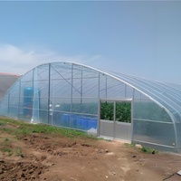 24m Grande maison de culture de plain-pied à une couche Couverture hydroponique stable en PE Banc roulant Serre polytunnel Cadre en acier Toit arqué