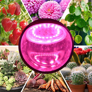 Ampoule LED pour la croissance des plantes 30W 40W Spectre complet 360 degrés pour le démarrage des semis et le jardinage intérieur - Product Image 3
