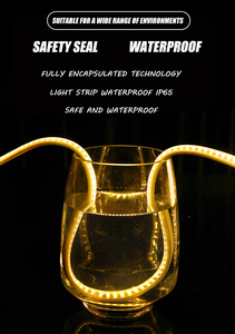220V High Voltage 2835 <b>LED</b> <b>Strip</b> <b>Light</b> Driverless Double Row 120 <b>LEDs</b>/M <b>Waterproof</b> Tape <b>Light</b> for Outdoor Landscape Lighting - Product Image 2