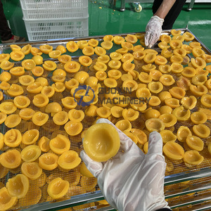 Máquina Deshidratadora de Frutas de Alta Capacidad, Máquina para Secar Mangos, Máquina para Secar Melocotones Amarillos - Product Image 4