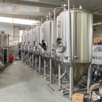 Cuve de Fermentation Conique Personnalisable 600L avec Manhole Latéral et Isolation par Chemise à Puits, Équipement de Fermentation