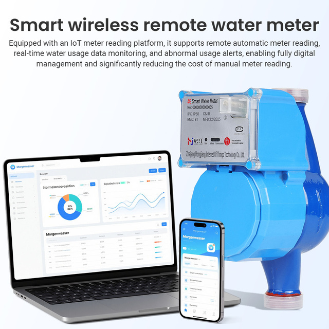15/20/25mm 4m³/h Lorawan Remote Meter Reading and Monitoring Threaded Connection Cast Iron Valveless Smart Water Meter
