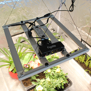 Disponibile in Brasile, Spedizione Gratuita, Senza Dazi Doganali, Lampada LED per Coltivazione Figolite 240W dalla Cina, Barra Luminosa Blu Rossa con Controllo UV IR - Product Image 6