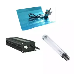 Most Popular With Competitive Price For Hydroponic 600W Ballast Kit 600W HPS Grow Light Kit