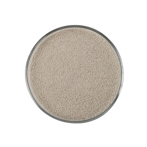 Enzima Xilanasa (10,000U-1,000,000U) - Product Image 3