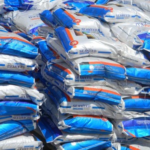 Acidi Umici Organici, Granuli di Alghe Marine, Fertilizzante NPK, Biostimolante Agricolo, Fertilizzante per Terreno - Product Image 4