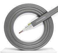 Câble d'alimentation plat TVVB pour levage et déplacement, haute résistance à la flexion, câble plat en cuivre flexible, certifié CE 450/750V, fil et câble électrique