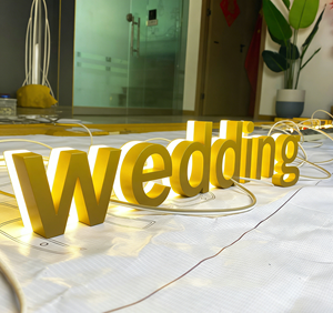 Insegna LED 3D Personalizzata per Matrimonio 'Mi Vuoi Sposare?' in Acrilico per Lettere Luminose da Esterno - Product Image 1