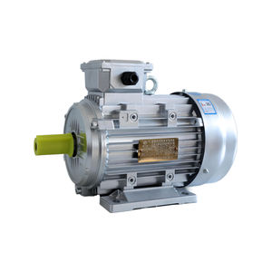 Ys ba pha không đồng bộ vỏ nhôm động cơ tiêu chuẩn quốc gia tinh khiết Đồng 2800 rpm 0.75kw 115/120V ngang B14 dọc - Product Image 2
