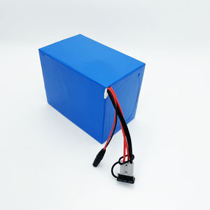 Risun Power Low Speed Fahrzeug Elektro Dreirad Motorrad Lithium batterie LiFePO4 48V 40AH 80AH LiFePO4 Lithium-Ionen-Batterien - Product Image 2