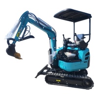Importation de matériel de pénétration pour excavatrices miniatures de 1,3 tonne, destiné à la découpe d'arbres de jardin et au forage de tunnels, de fabrication chinoise.