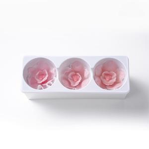 Cabeza de Flor de Orquídea Phalaenopsis Preservada, Mariposa Eterna, 7-8cm, 3 Piezas/Caja, Regalo para Ella, Cumpleaños, Día de San Valentín, Día de la Madre - Product Image 6