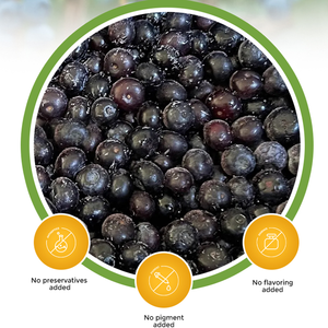 Arándano salvaje congelado Fruta congelada orgánica Al por mayor Fresh Black Red Freezing Blueberry Berries <span class=keywords><strong>Comprar</strong></span> en venta - Product Image 6
