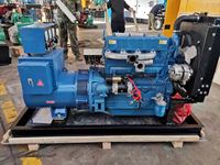 Générateur diesel silencieux Ricardo 40 kVA 30 kW avec alternateur en cuivre pur pour usage professionnel et secours