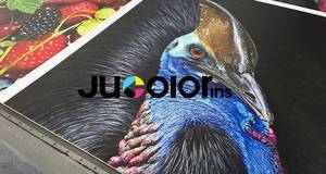 Stampante UV Flatbed Jucolor di Qualità Superiore 2513 con Testina Ricoh Gen6 e CCD per Stampa su Vetro, Legno, Acrilico, Metallo, PVC, Piastrelle e Pubblicità - Product Image 3
