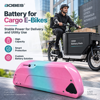 Batterie de vélo électrique personnalisée OEM 36V 48V 10.5Ah 14Ah 17.5Ah 21Ah 18650 Lithium-ion avec contrôleur BMS et boîtier