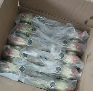 Ajusteur de mou manuel de rupture de <span class=keywords><strong>prix</strong></span> usine 1 3 trous 10 28 37 dents pour les essieux Fuwa pièces de rechange de bras de réglage de rupture de camion - Product Image 2