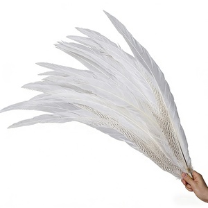 Vente en gros de plumes de faisan argenté de 15 à 80 cm, plumes de faisan blanc pour costumes de <span class=keywords><strong>carnaval</strong></span>, décoration de performance de samba - Product Image 1