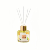 Diffuseur de Parfum d'Ambiance 50ML en Bouteille de Verre, Huile Essentielle Parfumée aux Fruits Tendance pour Kits de Diffuseurs à Bâtonnets