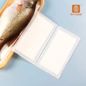 Tampons absorbants haute capacité 160x100mm pour viande, fruits de mer, poisson, volaille, emballage écologique, produit respectueux de l'environnement - Product Image 1