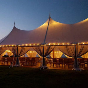 Carpa para eventos al aire libre, carpa para fiestas, carpa extensible para eventos, carpa para bodas con capacidad para 100 personas - Product Image 1