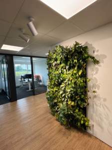 Premium LED coltiva la luce per il giardino interno, idroponica e piantine di piante domestiche, spettro completo per piante grasse, erbe, fiori - Product Image 6